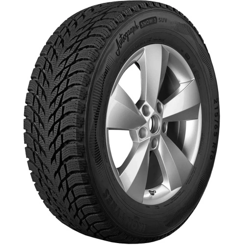Автомобильная шина 225/55R17 IKON AUTOGRAPH SNOW 3